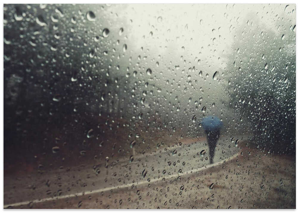 Sıcak Güneşli Bir Gün