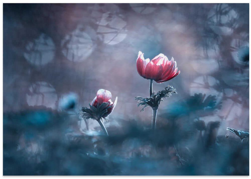 The past is already gone, the future is not yet here ...