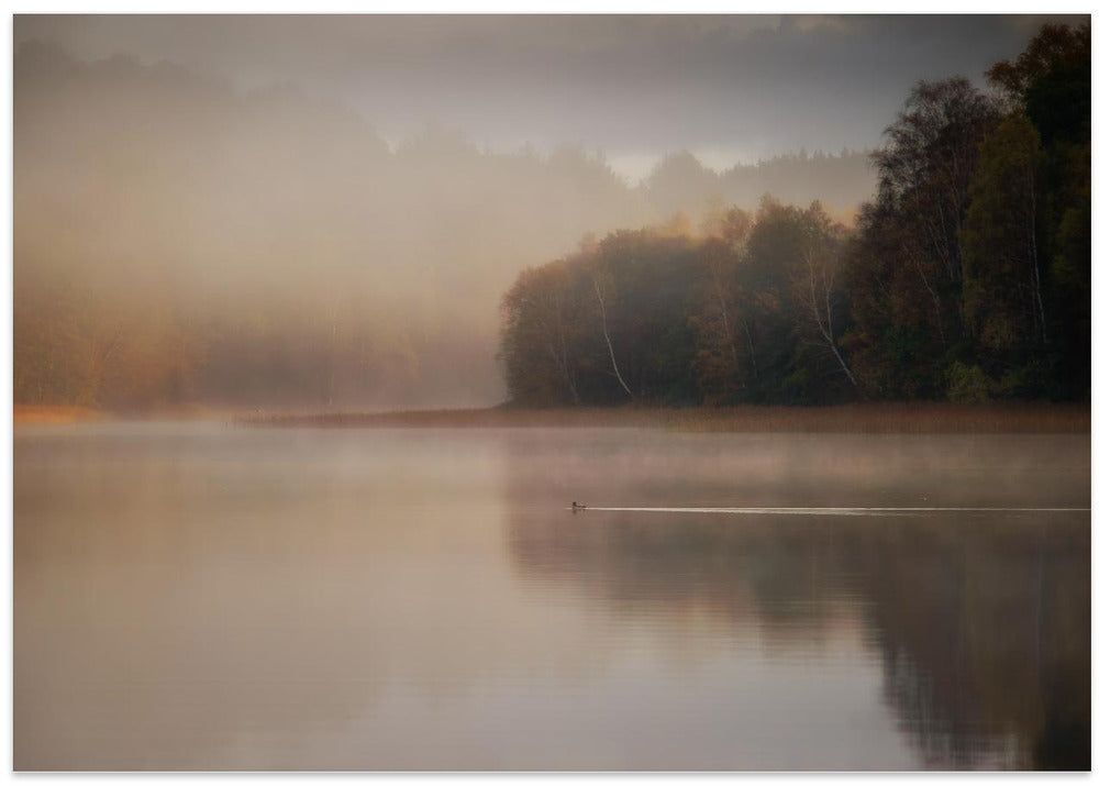 The morning's first swim turn