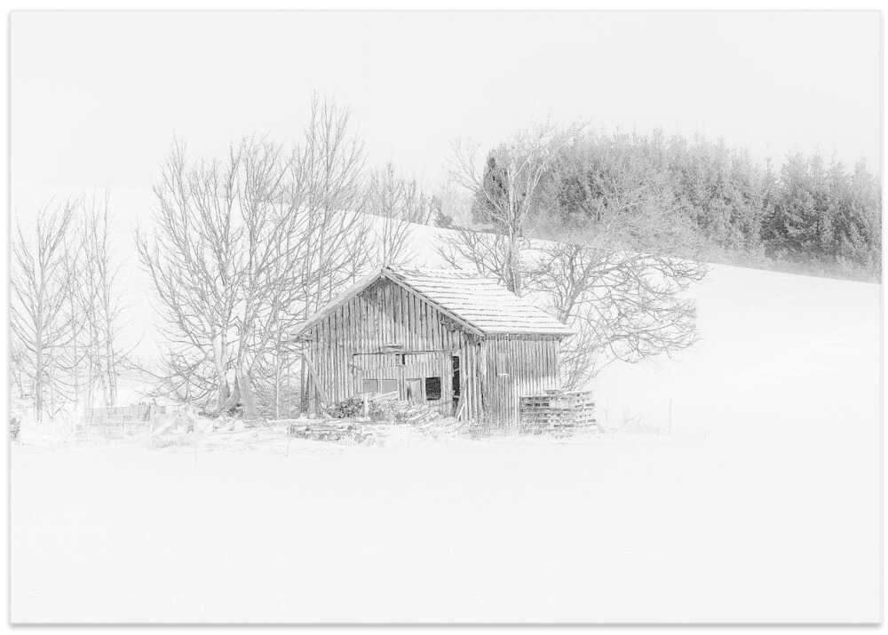 In a misty snowworld