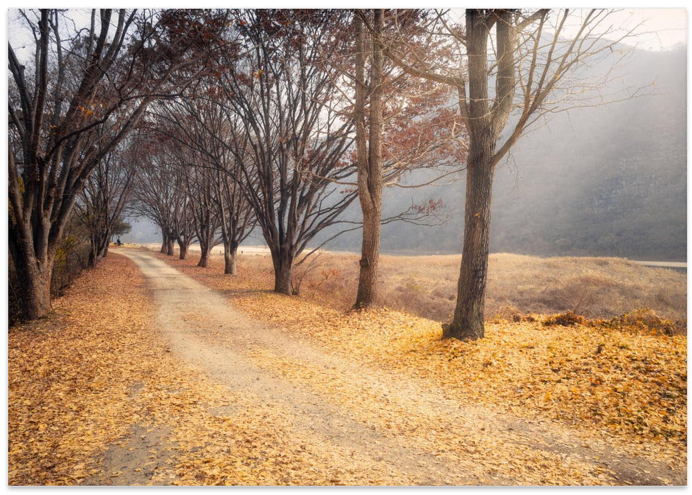 In the middle of autumn