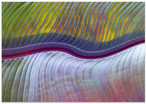 Art Prints of The flood plains, abstractly