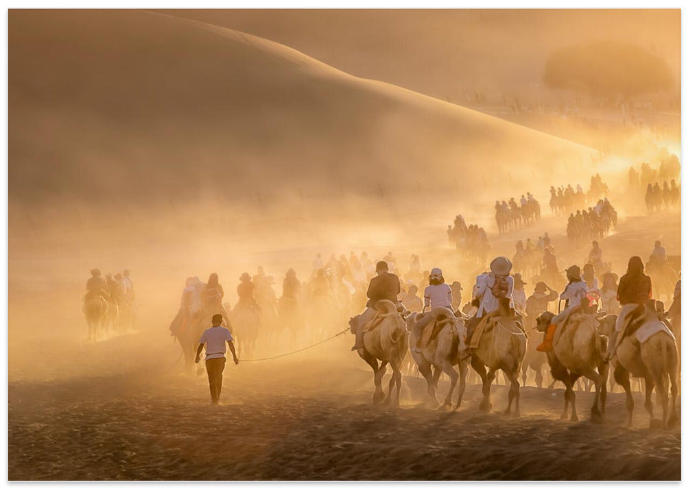 Camel Caravan