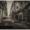 Art Prints of Habana street