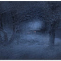 Snowy evening...