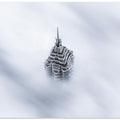 Art Prints of Shanghai Jinmao Tower in Clouds