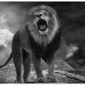 Art Prints of Lion's Roar