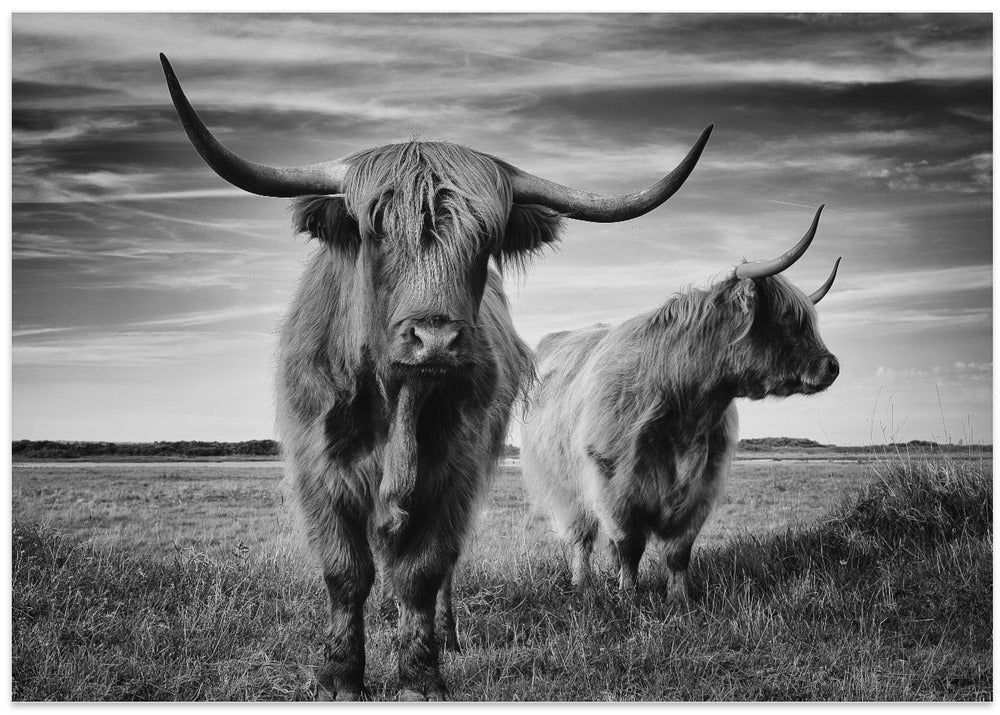 Art Prints of I am the boss