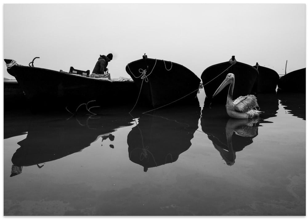 Art Prints of lake diary 1