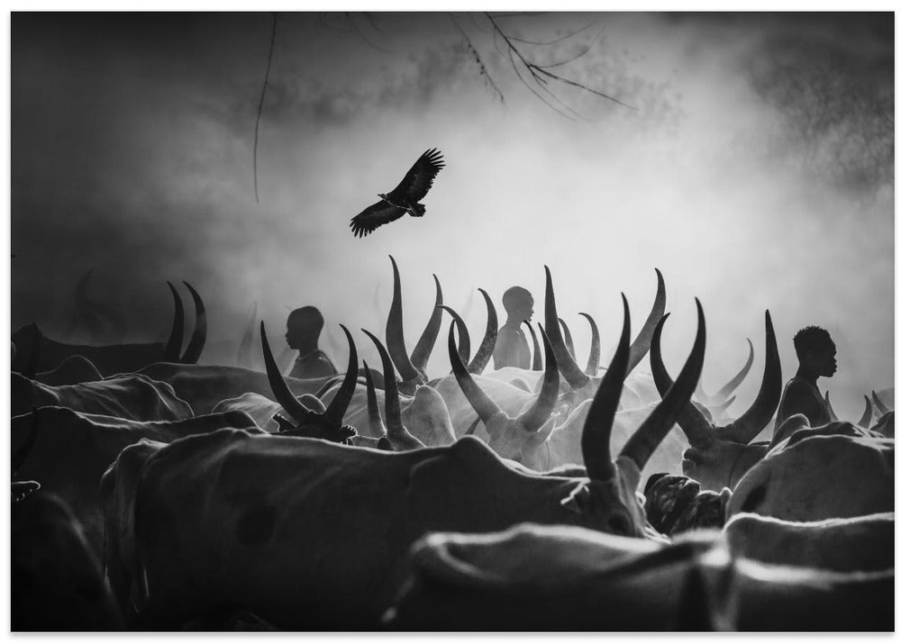 The shadows of Mundari