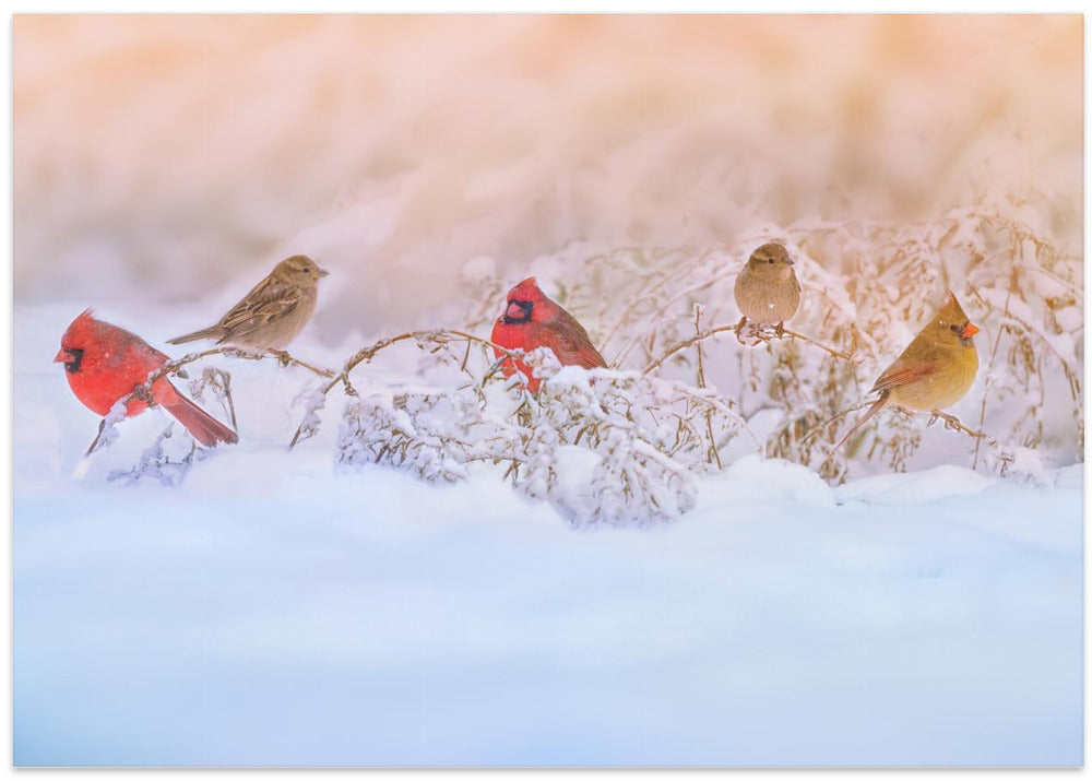 Art Prints of Snowy Morning  Party