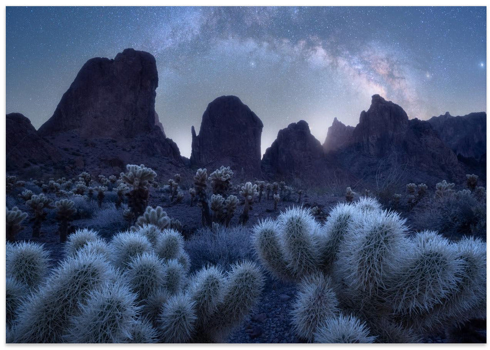 Queen of Arizona and her crown