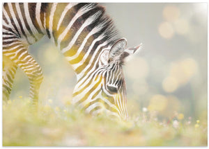 Art Prints of BREAKFAST