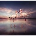 Art Prints of FlamingoLove