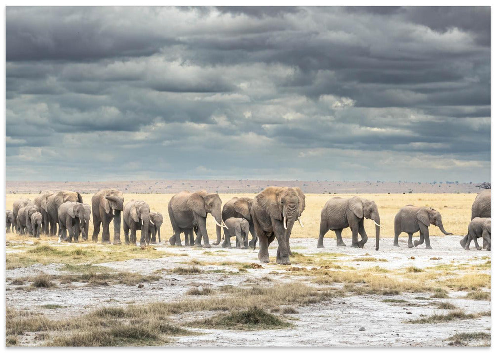 The March for Survival