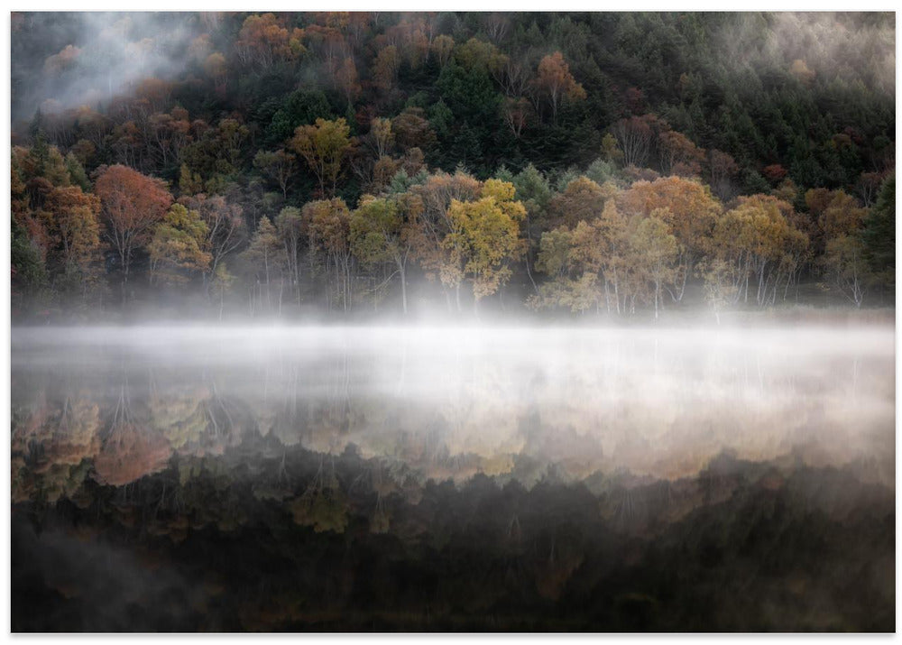 The mystical pond in the autumn