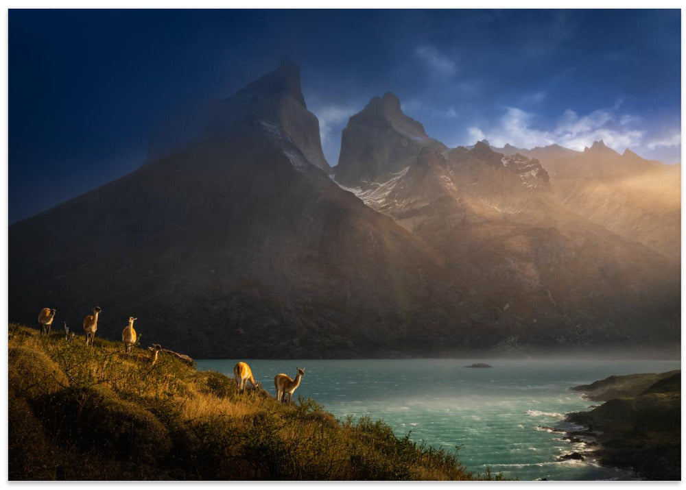 Immersing  in the golden lights