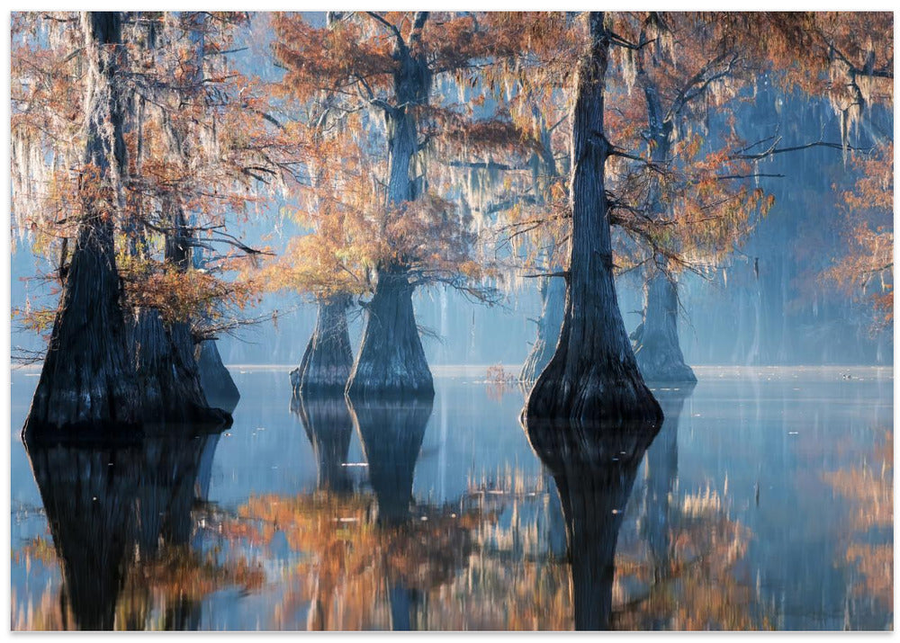 Apparitions of Perpetuity