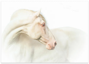 Art Prints of Mr. Blue Eye…