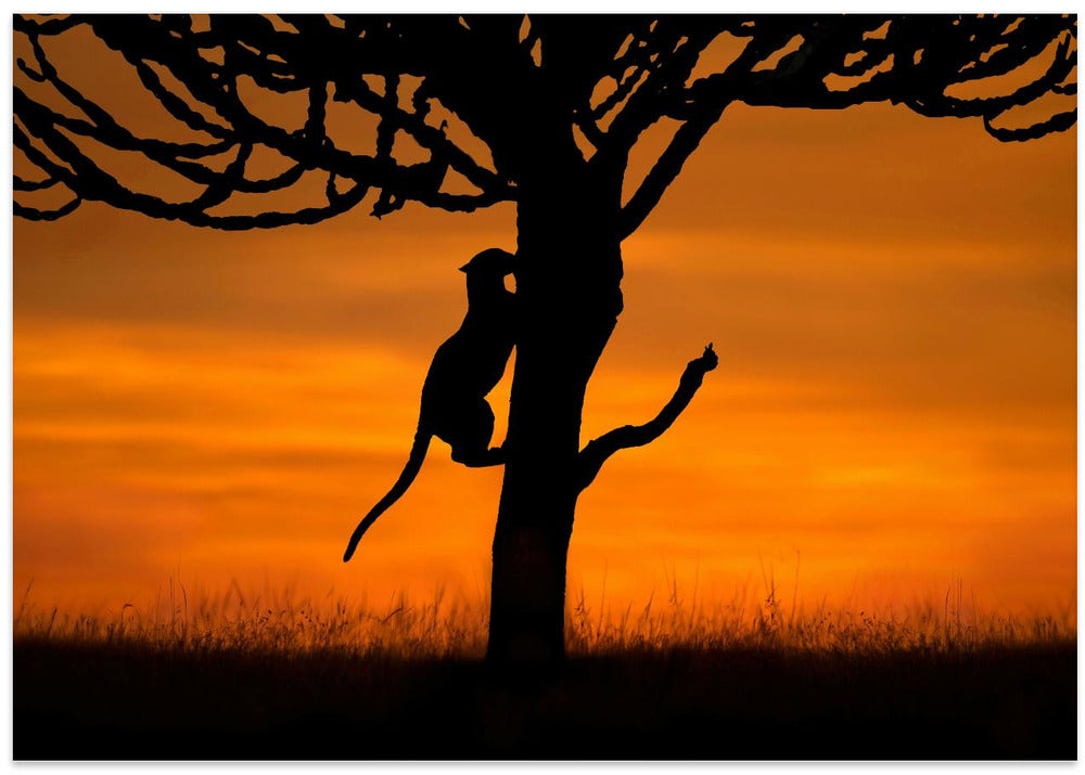 Art Prints of Back home