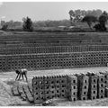 Working alone in Brick field