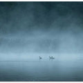 Dark and foggy lake