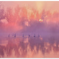 Art Prints of Swan Lake Sunrise