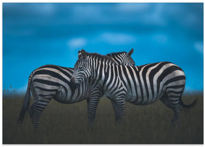 Art Prints of Stripy