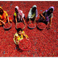 Red Chilli Workers