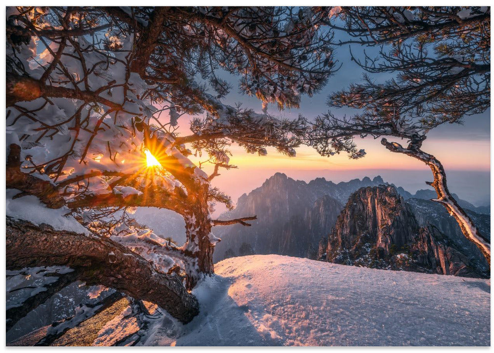 Yellow Mountain and Strange Pine after Snow