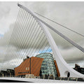 Samuel Bekett Bridge by Calatrava - Dublin Ireland
