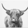 Canvas Art Print Highland Bull