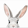 Canvas Art Print Peeking Bunny