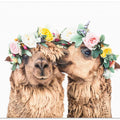 Canvas Art Print Boho Alpacas