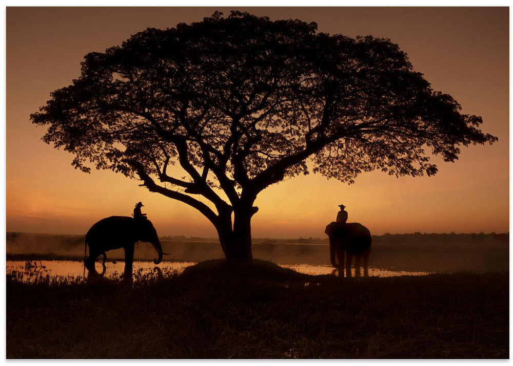 The sweet of morning air