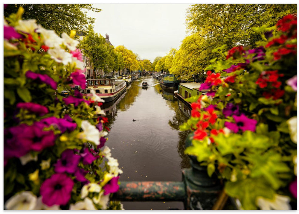 Floral in Amsterdam