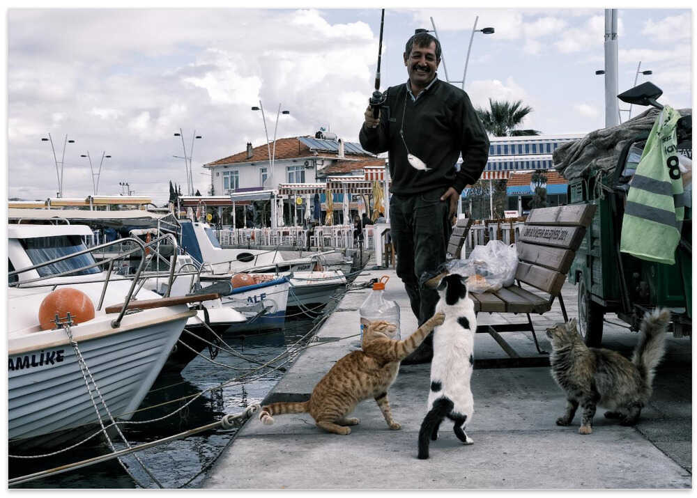 A day in Sığacık 2