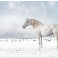 Canvas Art Print Let it snow...