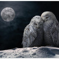 Canvas Art Print MoonOwls