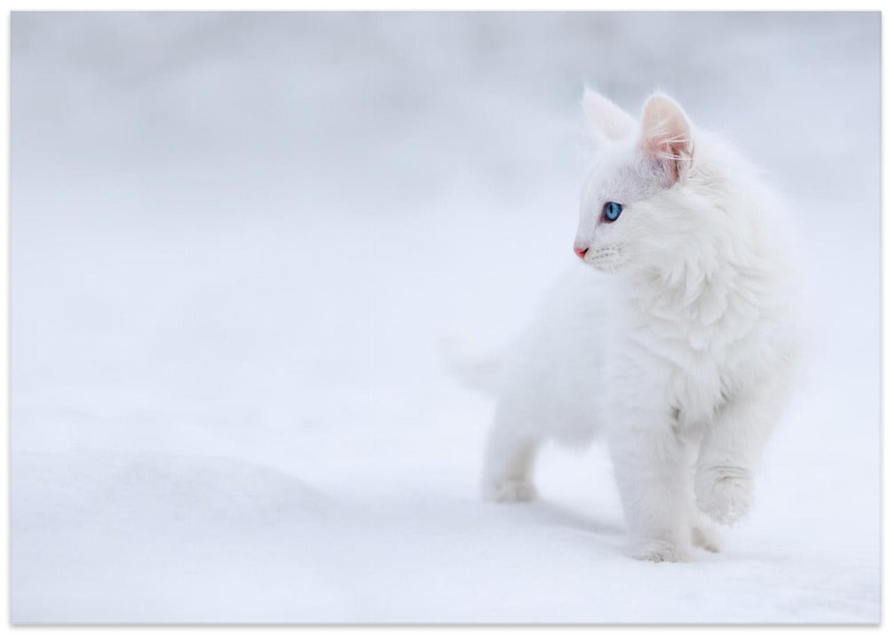 White as Snow