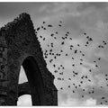 Art Prints of St. Andrew's Church, Covehithe UK