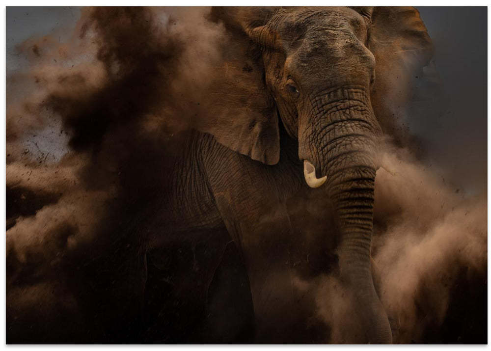 Death out of the Dust