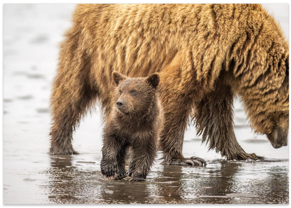 On a mission to catch my first salmon