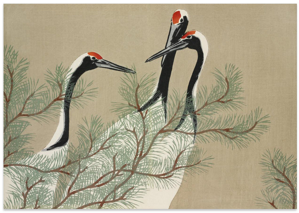 Cranes From Momoyogusa