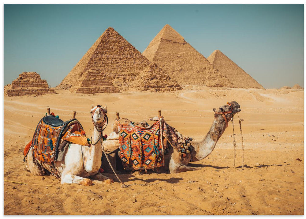 Visit to the pyramids