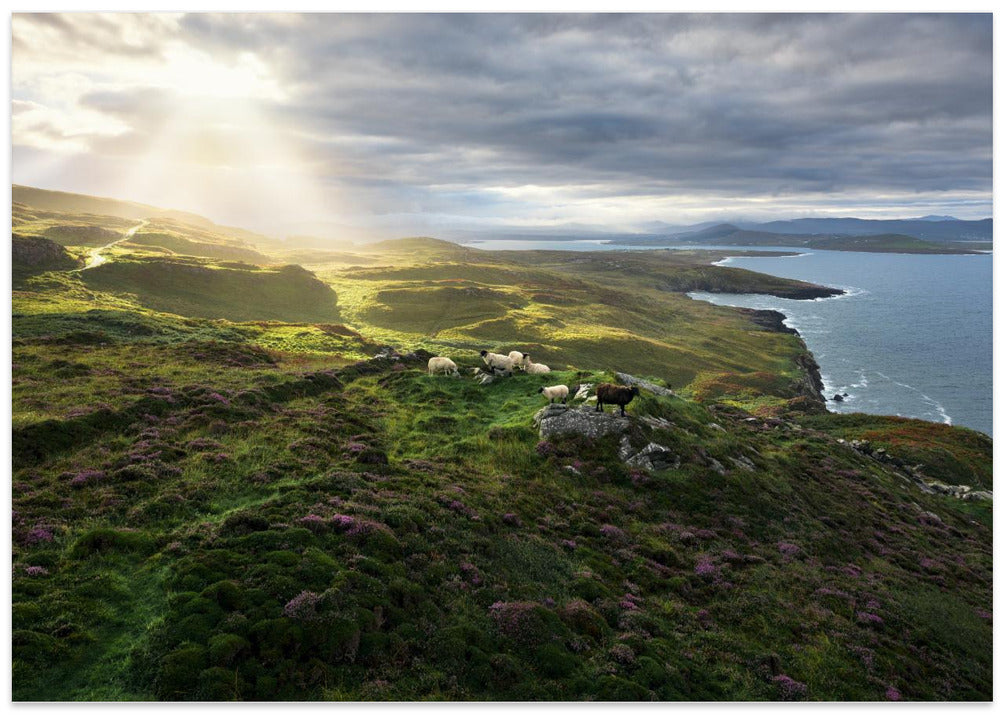 Good Morning Ireland