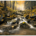 Autum Stream