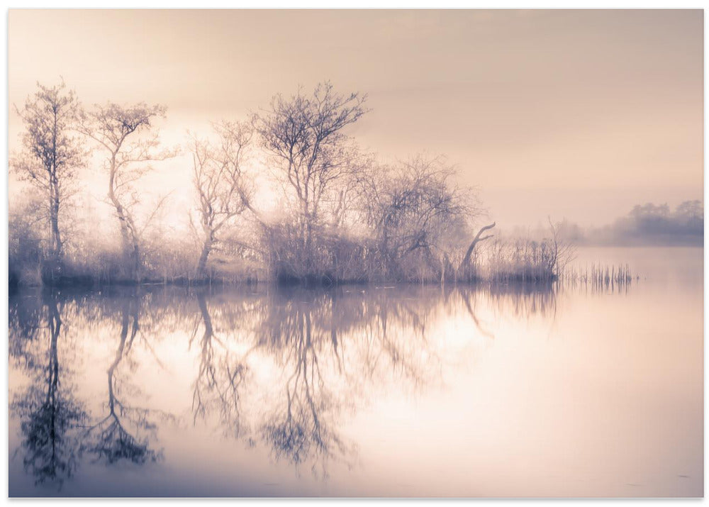 Cold morning at the pond