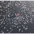 Thousands of migratory birds around the boats for feeding