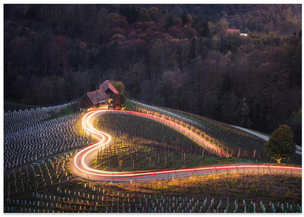 The light heart 7R46825